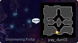 the Shimmering Portal at pay_dun03 that takes you to the Illusion of Moonlight map